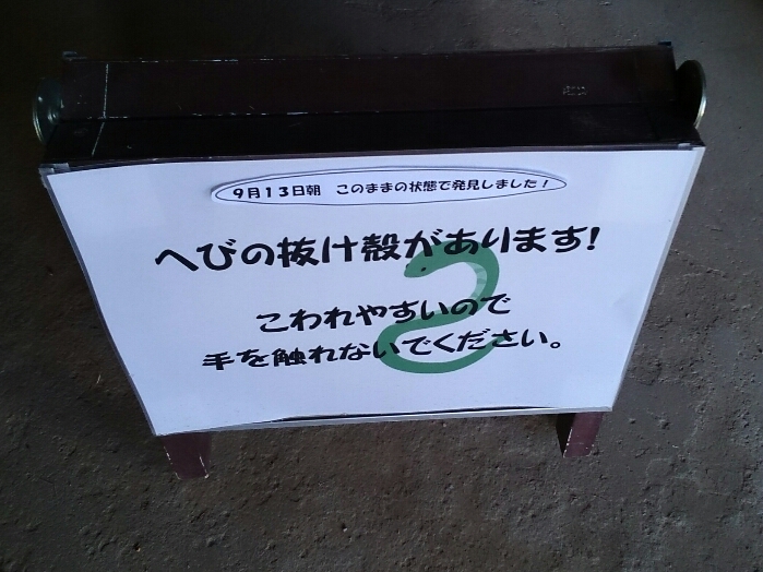 f:id:jerich:20190405232408j:plain