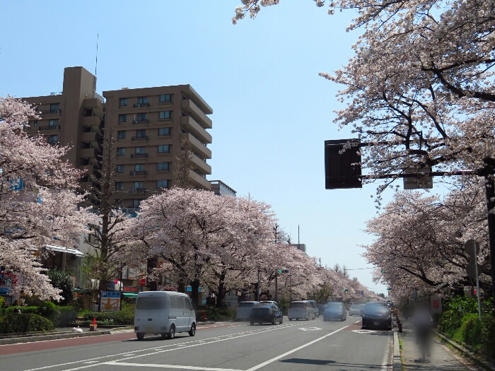 f:id:jerich:20190408004259j:plain