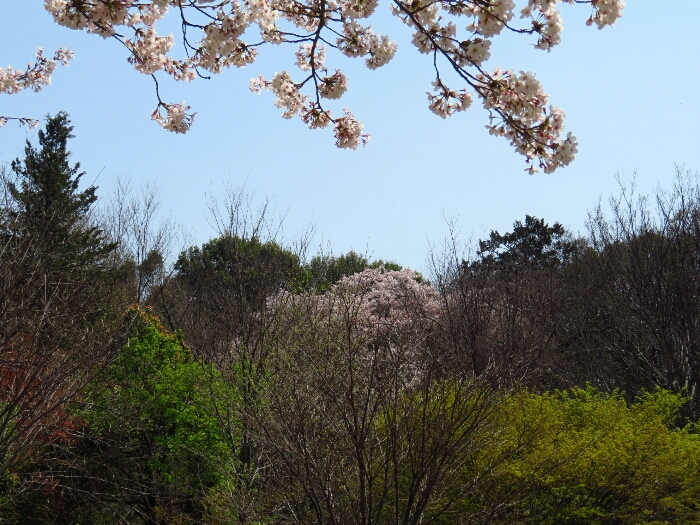 f:id:jerich:20190408005535j:plain