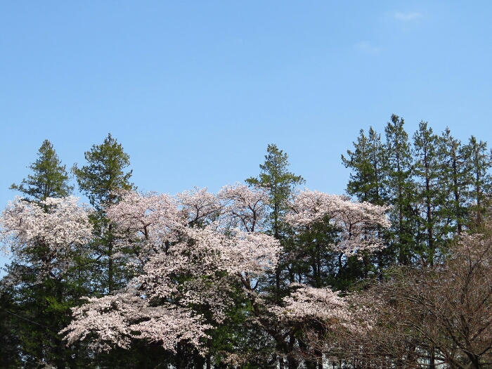 f:id:jerich:20190408005538j:plain