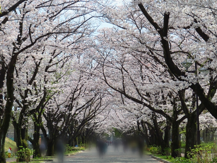 f:id:jerich:20190408011231j:plain
