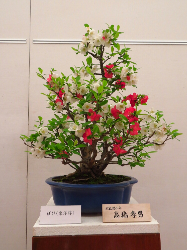 f:id:jerich:20190408012817j:plain