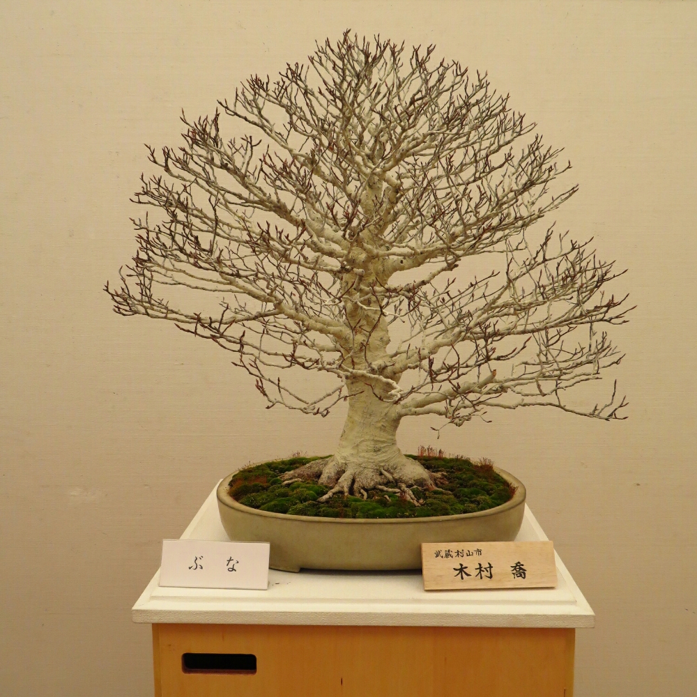 f:id:jerich:20190408025056j:plain