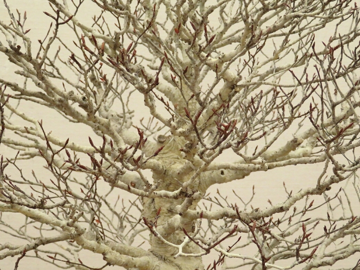 f:id:jerich:20190408025100j:plain