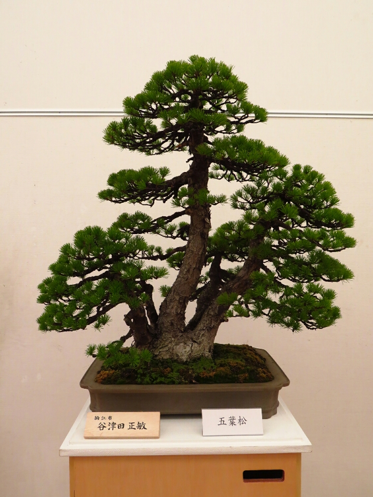 f:id:jerich:20190408025103j:plain