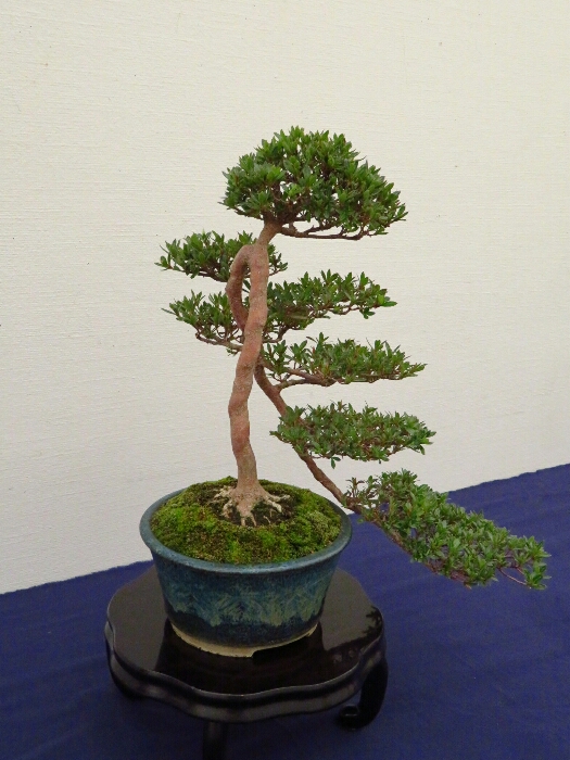 f:id:jerich:20190408025107j:plain