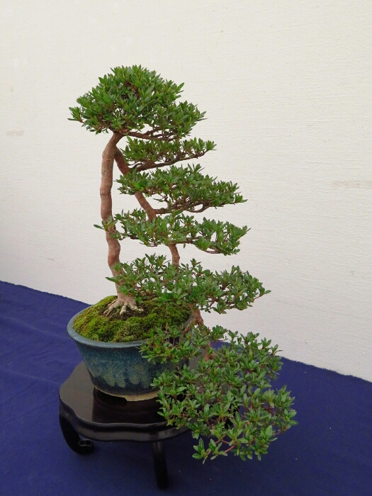 f:id:jerich:20190408025110j:plain