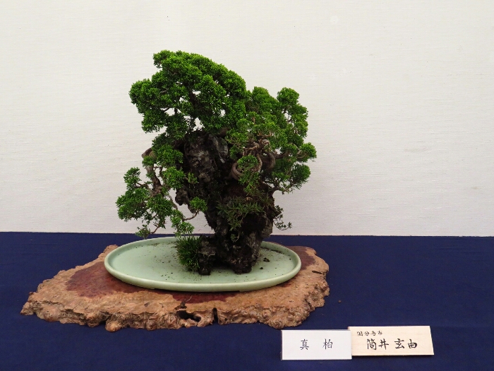 f:id:jerich:20190408030325j:plain