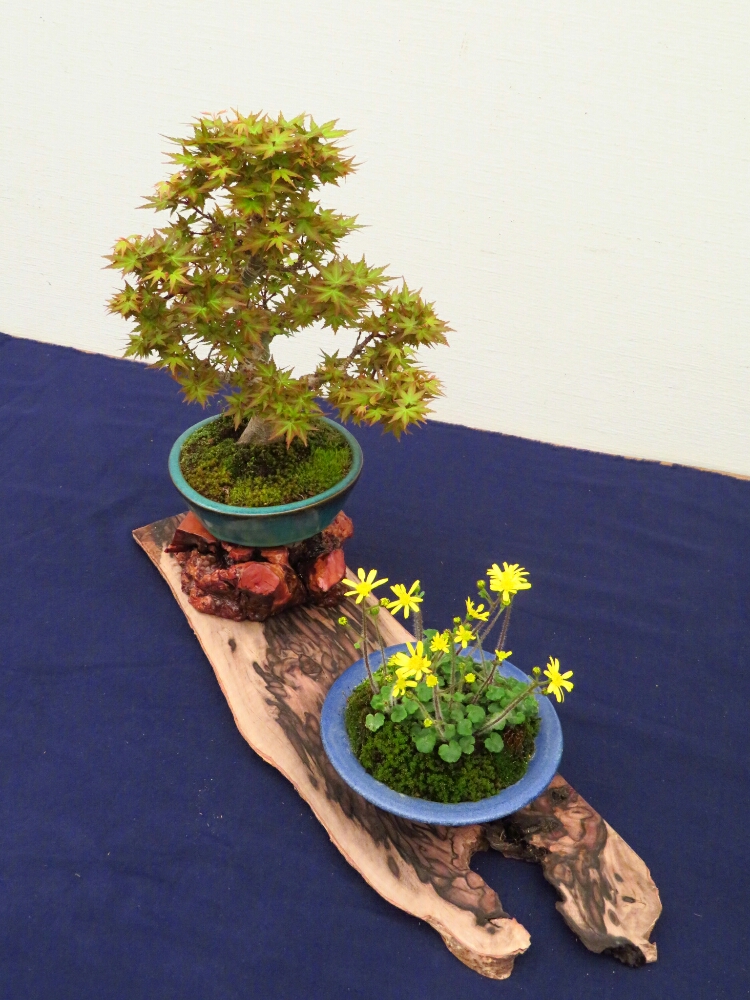 f:id:jerich:20190408030328j:plain