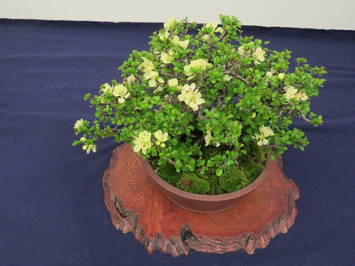 f:id:jerich:20190408030331j:plain