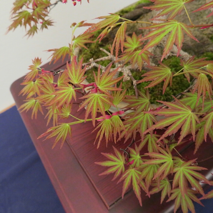 f:id:jerich:20190408030333j:plain