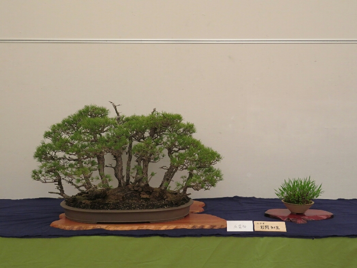 f:id:jerich:20190408031028j:plain