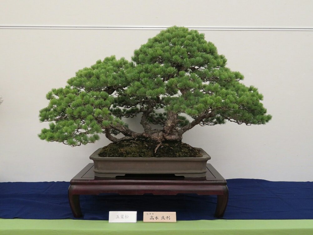 f:id:jerich:20190408031034j:plain