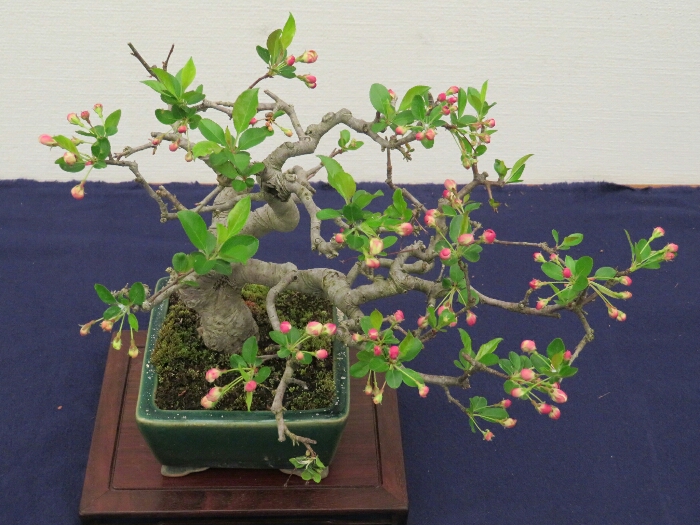 f:id:jerich:20190408032441j:plain