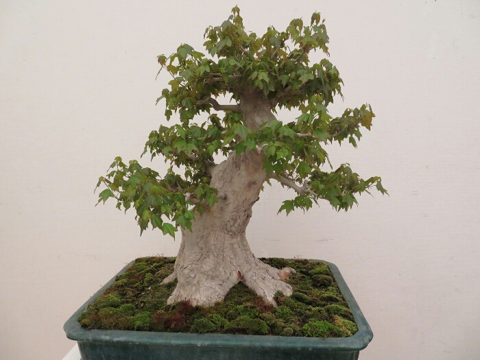 f:id:jerich:20190408033136j:plain