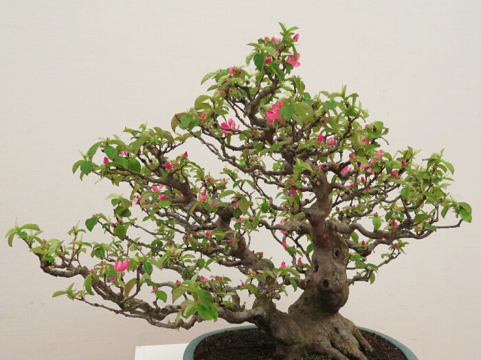 f:id:jerich:20190408033142j:plain