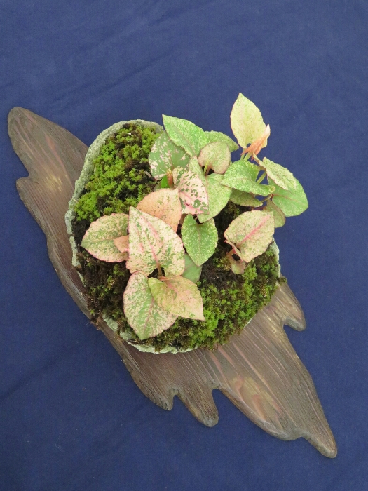 f:id:jerich:20190408034326j:plain