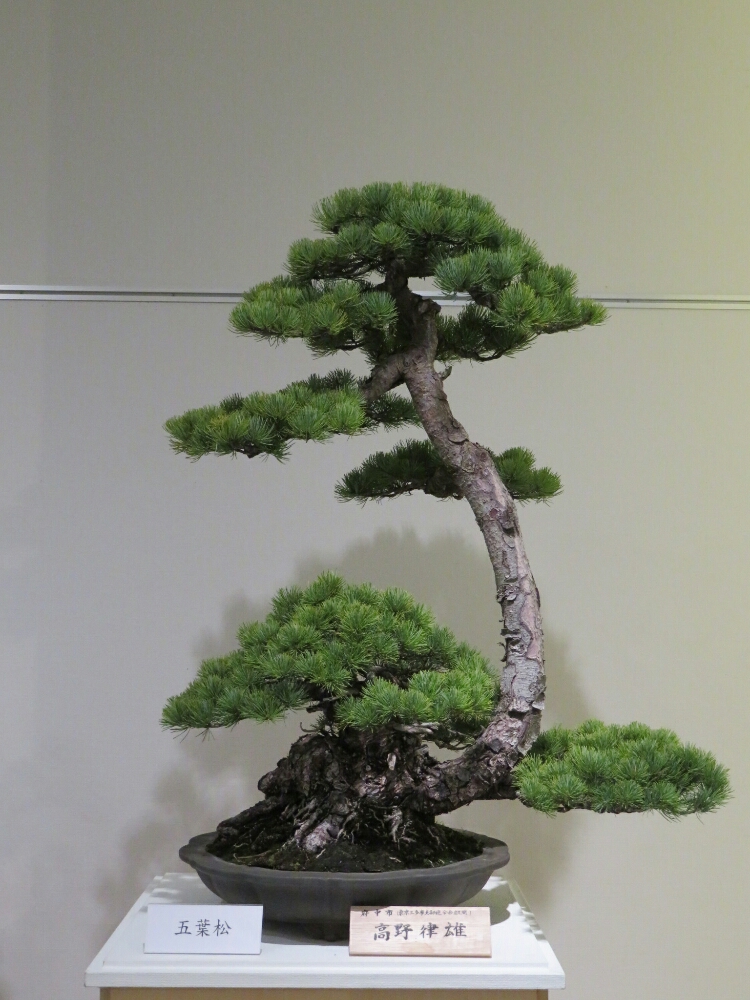 f:id:jerich:20190408034332j:plain