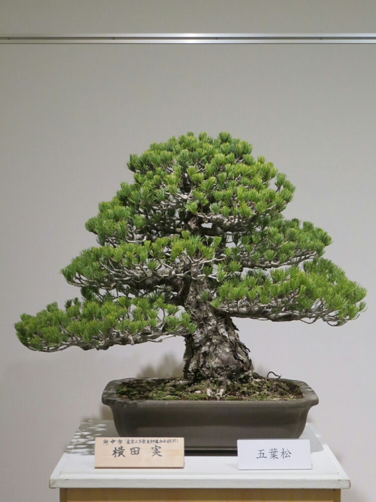 f:id:jerich:20190408034338j:plain