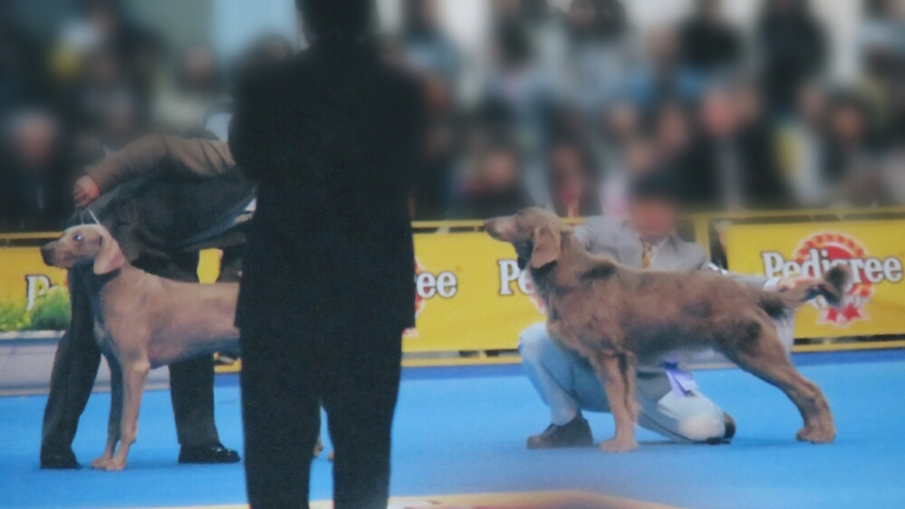 f:id:jerich:20190412020832j:plain