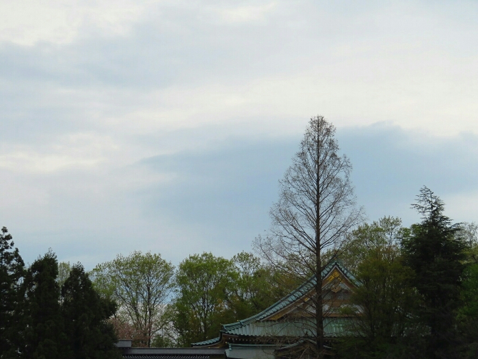 f:id:jerich:20190419071908j:plain