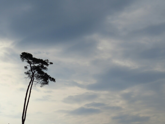 f:id:jerich:20190419071916j:plain