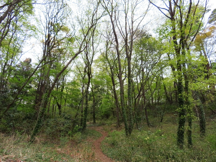 f:id:jerich:20190419073058j:plain