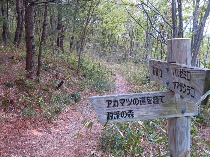 f:id:jerich:20190419073101j:plain