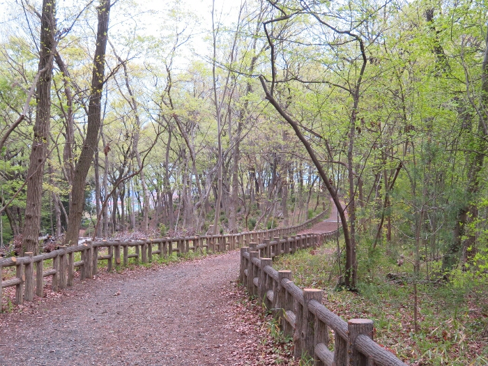 f:id:jerich:20190419073104j:plain