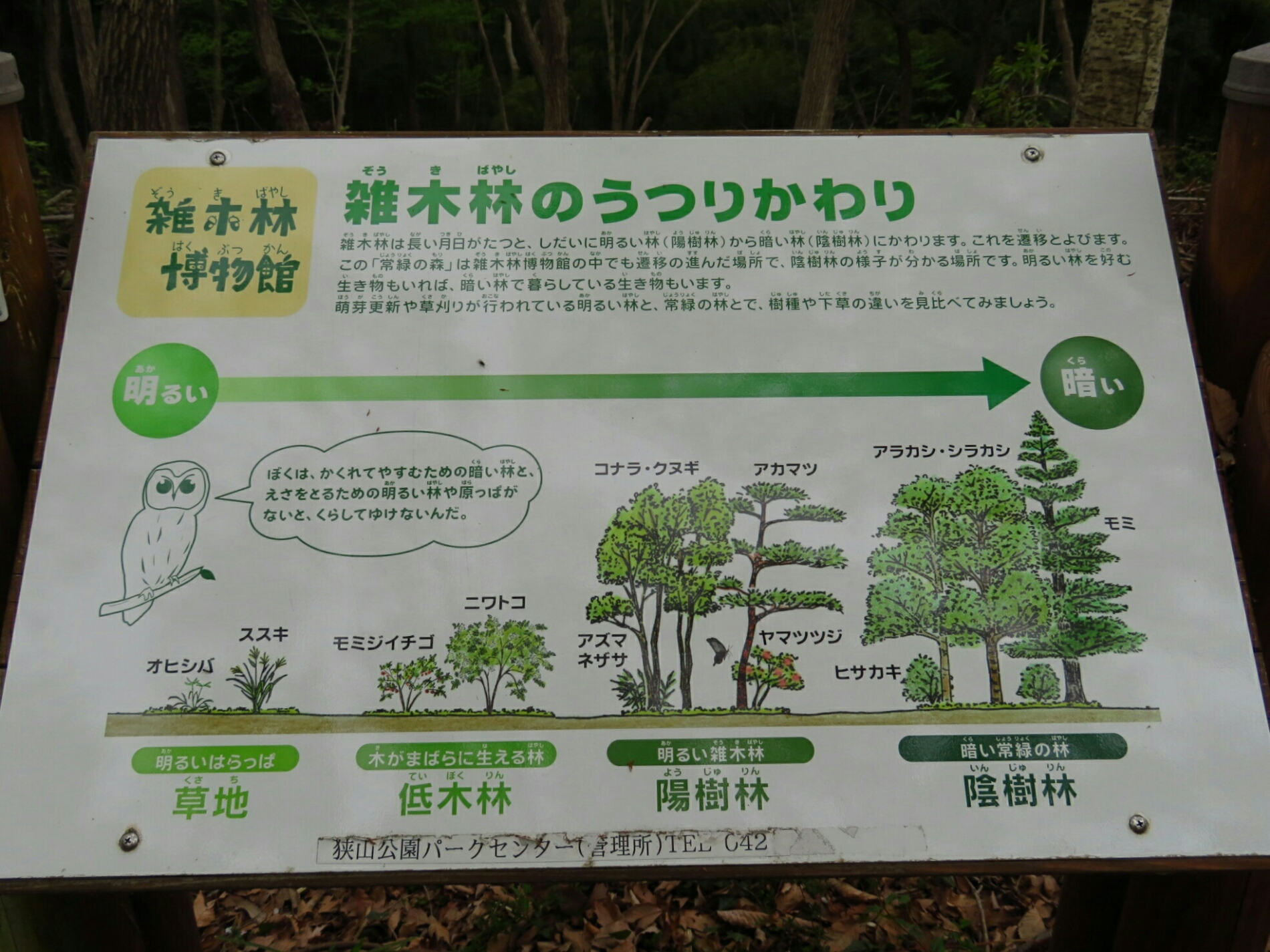 f:id:jerich:20190419074437j:plain