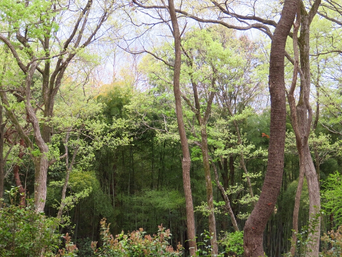 f:id:jerich:20190419074441j:plain