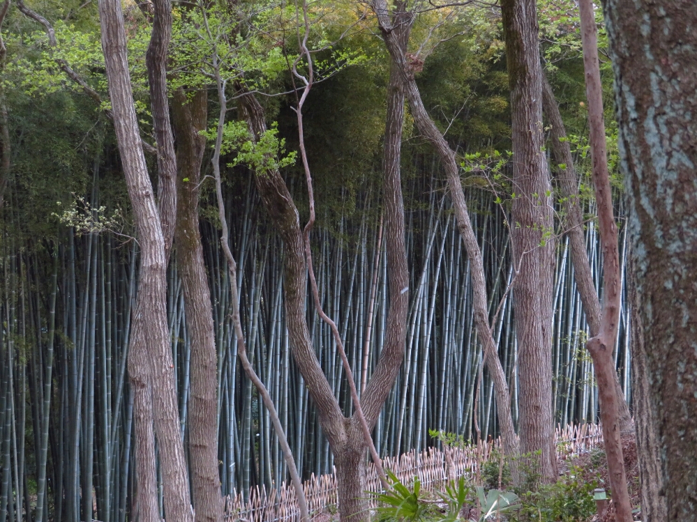 f:id:jerich:20190419074443j:plain