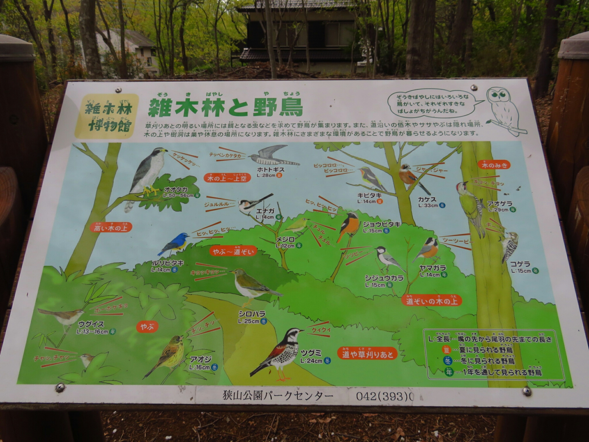 f:id:jerich:20190419074445j:plain