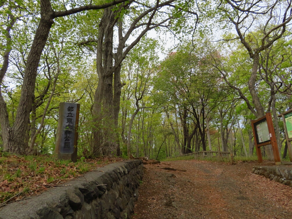 f:id:jerich:20190419075052j:plain