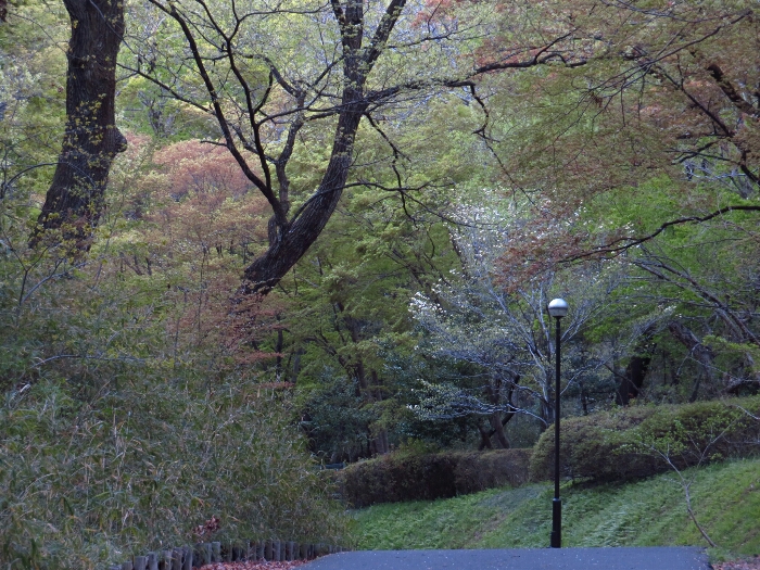 f:id:jerich:20190420140236j:plain