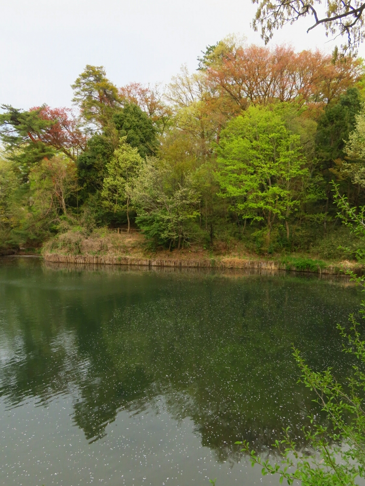 f:id:jerich:20190420140245j:plain