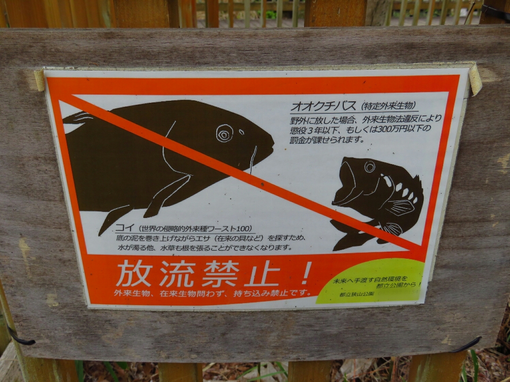 f:id:jerich:20190420142651j:plain