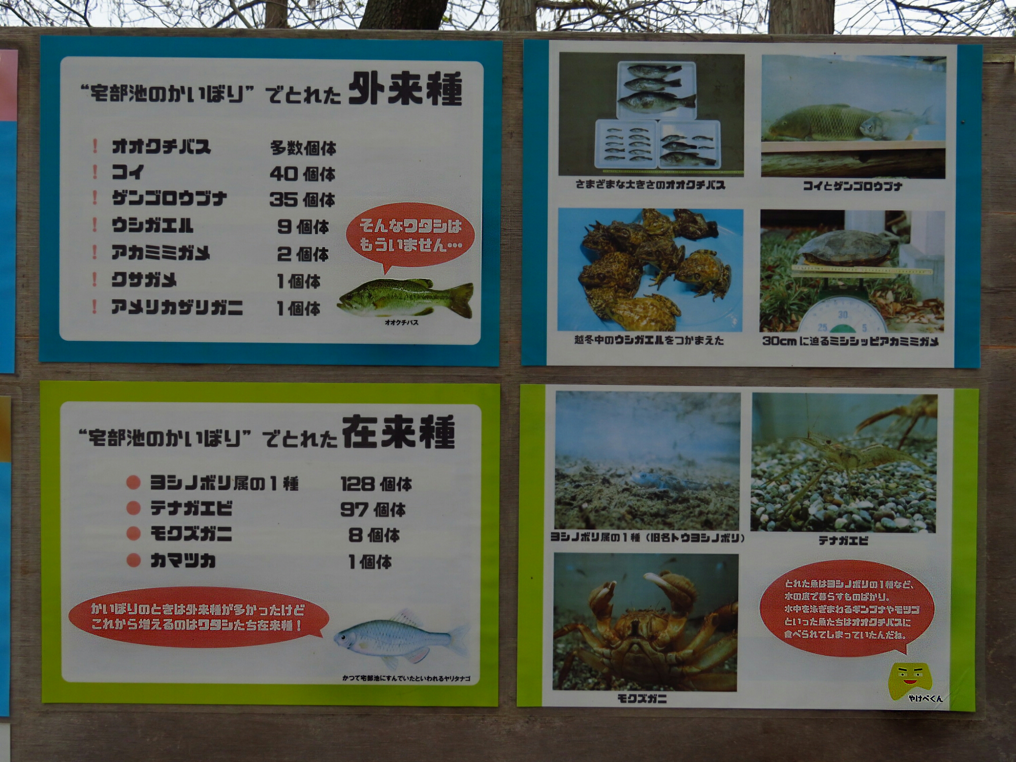 f:id:jerich:20190420142653j:plain