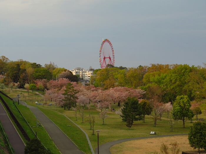 f:id:jerich:20190420142705j:plain