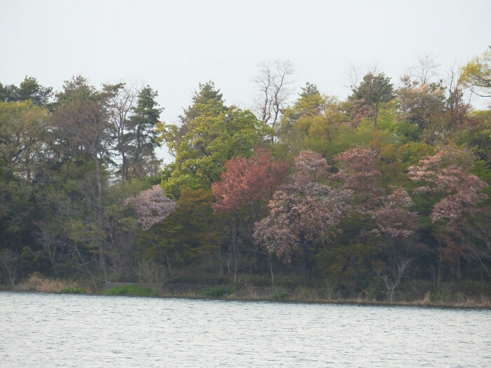 f:id:jerich:20190420145232j:plain