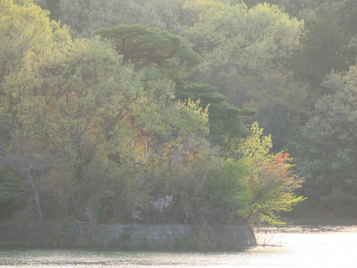 f:id:jerich:20190420152517j:plain