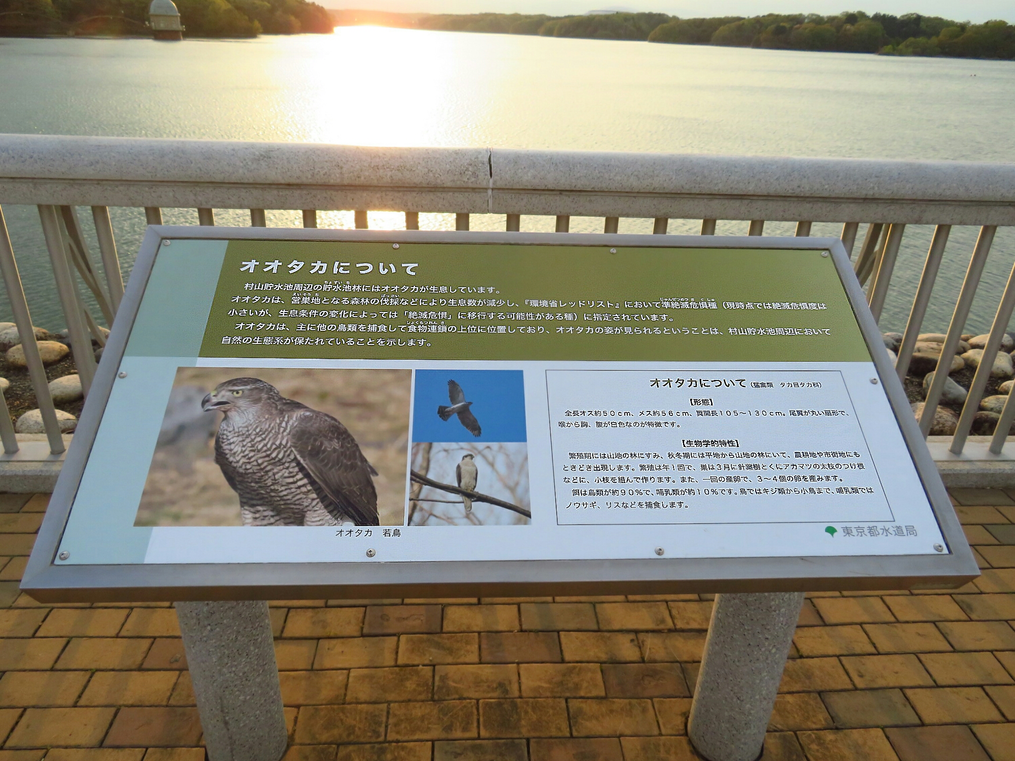 f:id:jerich:20190420152520j:plain