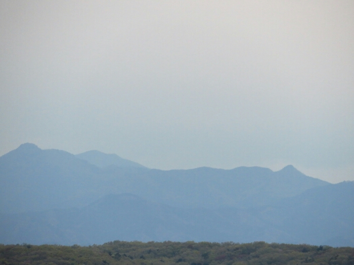 f:id:jerich:20190420153304j:plain