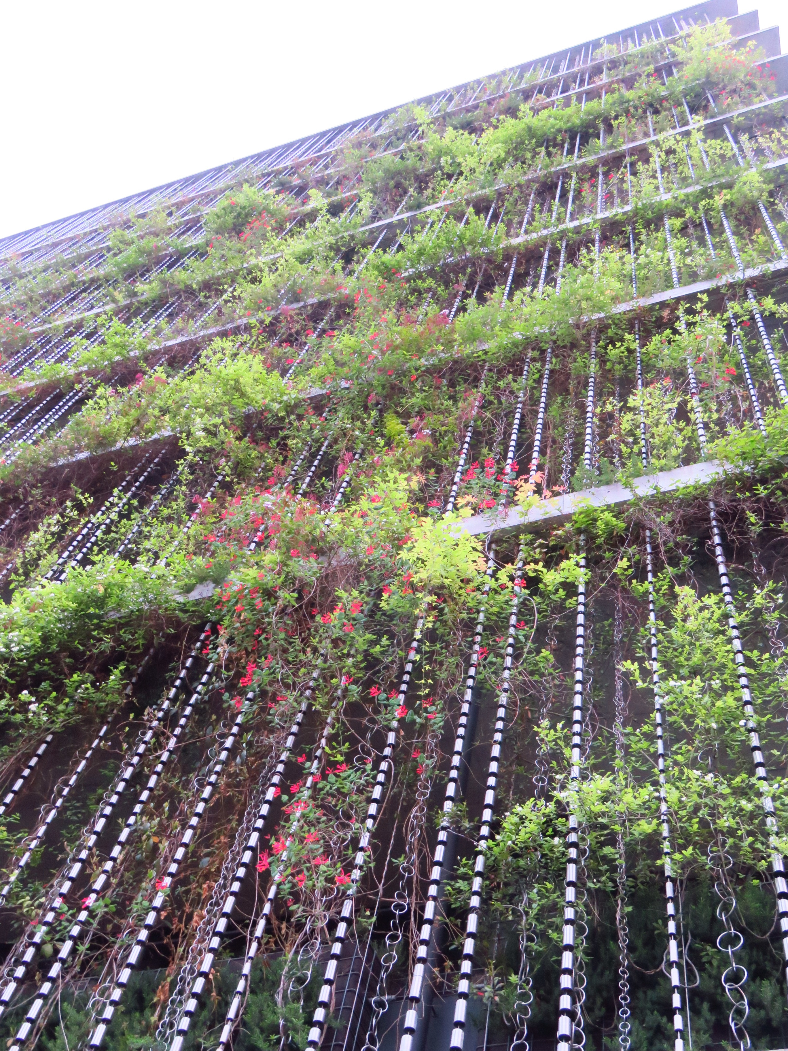 f:id:jerich:20190426004745j:image