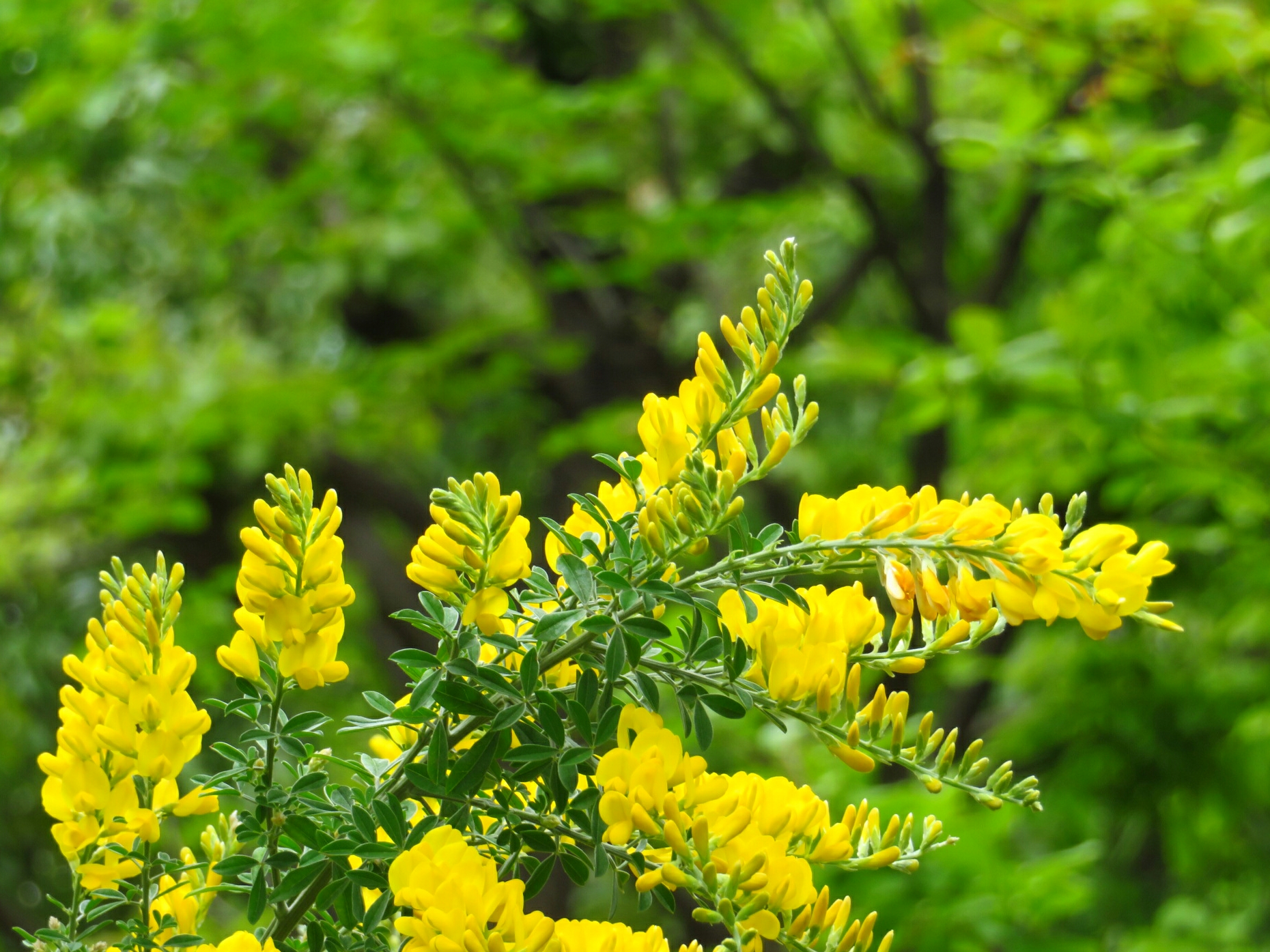 f:id:jerich:20190430211005j:image