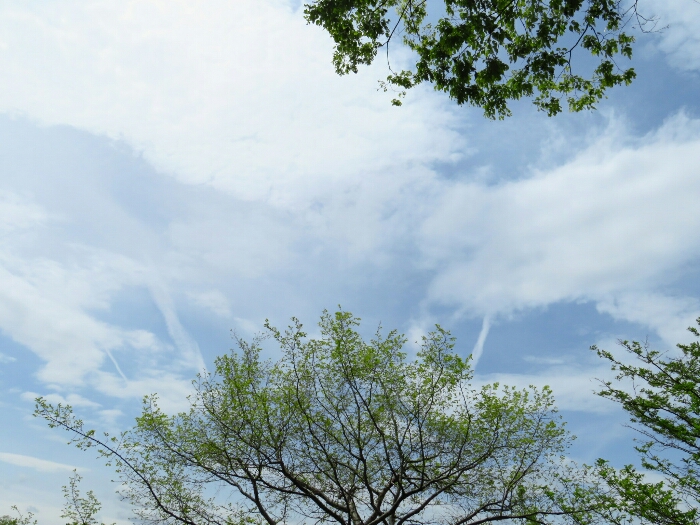f:id:jerich:20190430212601j:plain