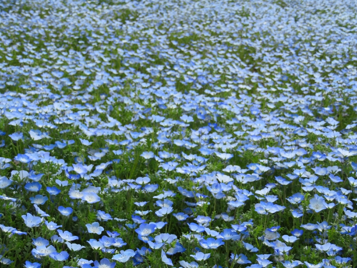 f:id:jerich:20190501032023j:plain