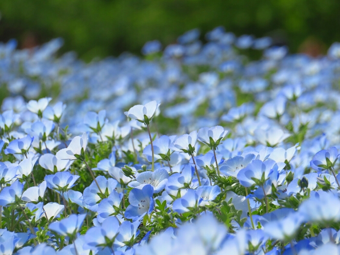 f:id:jerich:20190501032028j:plain