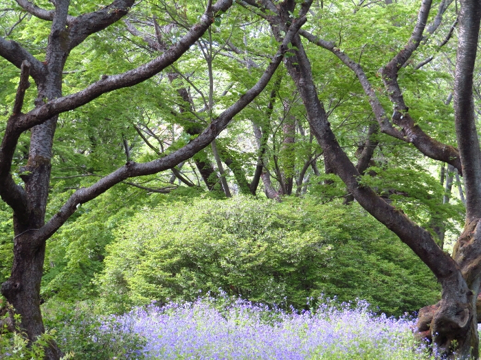 f:id:jerich:20190501171630j:plain
