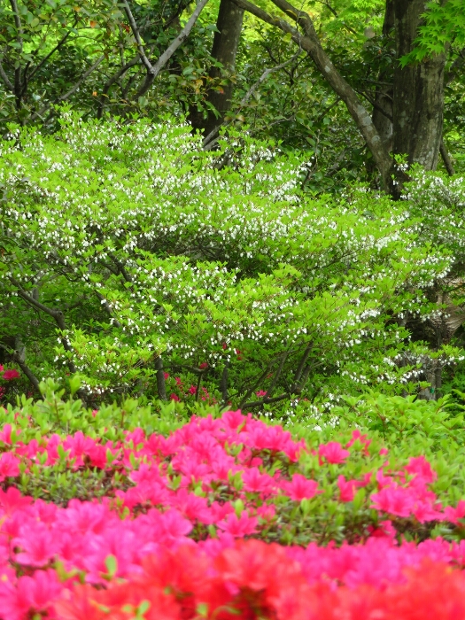 f:id:jerich:20190501181303j:plain